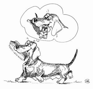 Perfect_Vet's tweet photo. Ложная  беременность у собак
https://t.co/RJTdOmUvU8
#ложнаященность #ложнаябеременность #беременностьсуки #домашниеживотные #собаки https://t.co/bpTYowmo5m