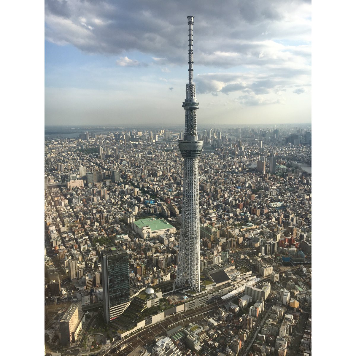 優美 スカイツリーより東京タワー だけど スカイツリーが近くて おっきくて キレイで 感動した 好きになりました スカイツリーより東京タワー派 スカイツリー 感動 好きになった ヘリコプターからの景色 ヘリコプター 空