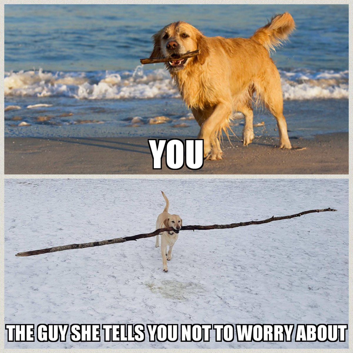 FunnyPicsDepot (@funnypicsdepot) on Twitter photo 