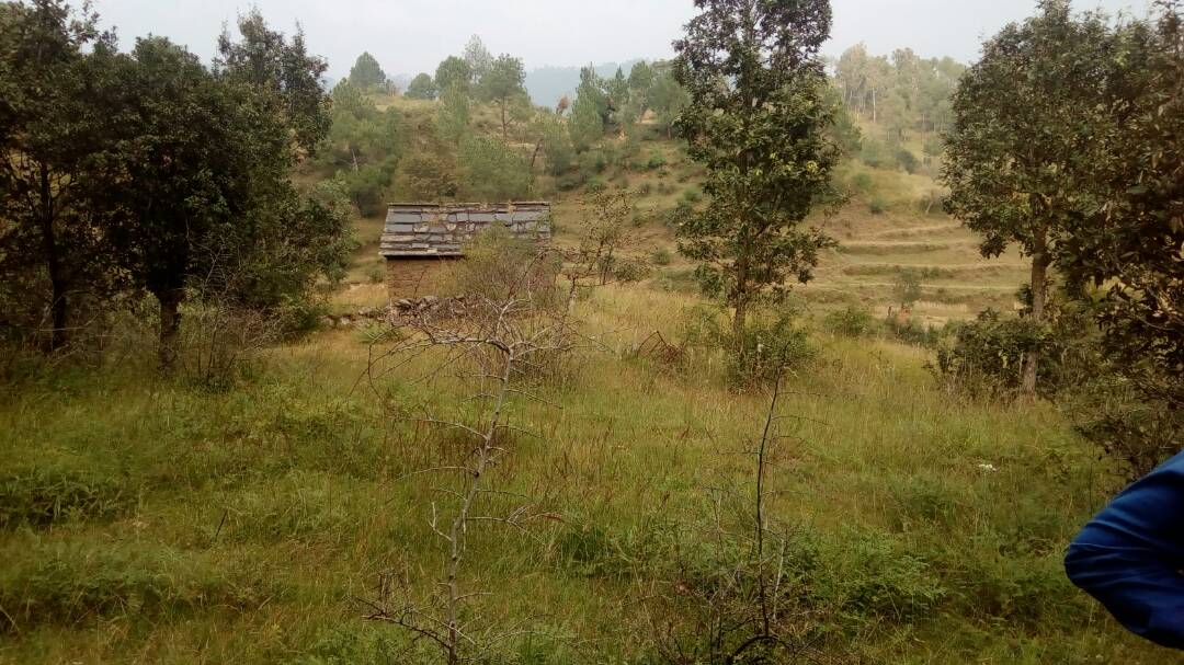 UttarakhandProp's tweet photo. 100 Nali Nali Himalayan Land #kyala
#kyala #Realestate #Property #Nainital #Uttarakhand #NainitalProperties #UttarakhandProperties https://t.co/0X7puffNh5