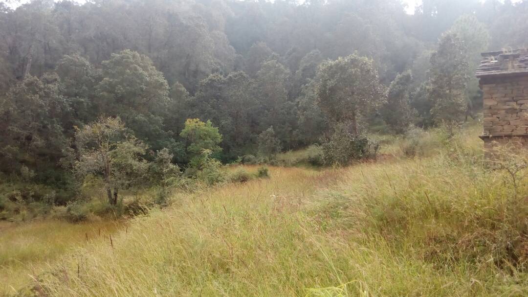 UttarakhandProp's tweet photo. 100 Nali Nali Himalayan Land #kyala
#kyala #Realestate #Property #Nainital #Uttarakhand #NainitalProperties #UttarakhandProperties https://t.co/0X7puffNh5