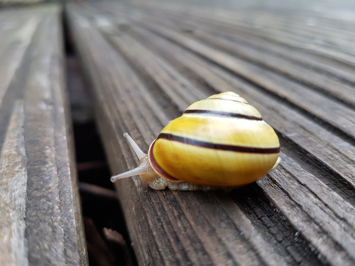 sta_la's tweet photo. Die Wanderung beginnt #stewa https://t.co/HTEskjCJlT