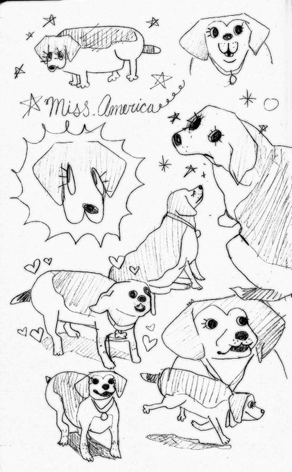 thinkin about my beautiful, elegant angel of a dog 