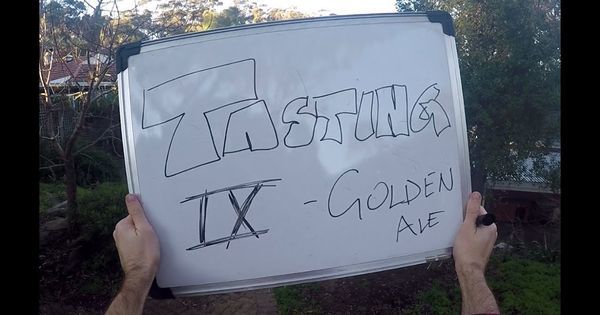 cookingscarlet's tweet photo. Sometimes I do tasting videos and then sometimes the dog comes along aaaand ... #homebrewing #homebrew #beer #craftbeer #brewingbeer #beerb… https://t.co/j1Pbf5D8I1