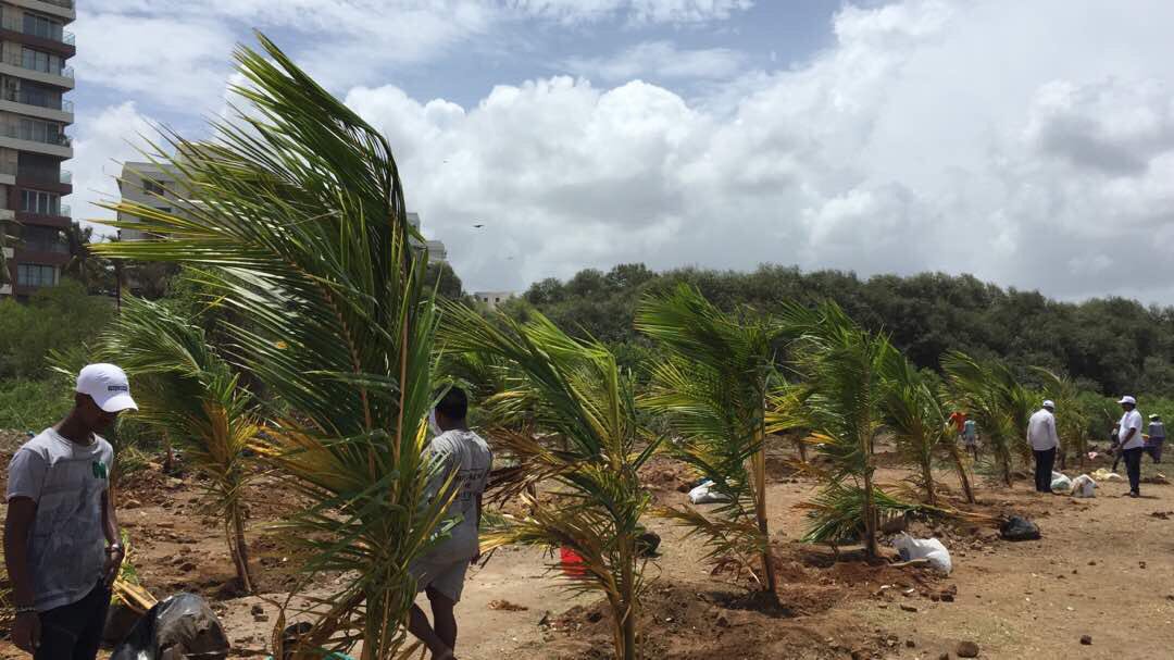 UNinIndia's tweet photo. Residents of Mumbai, India 🇮🇳 join hands this #WorldEnvironmentDay2017 to green Versova beach this Sunday!Join #IndiawithNature campaign now https://t.co/13IIRgfdgu