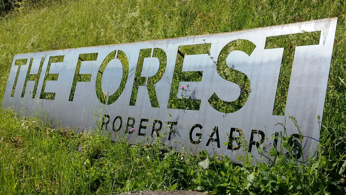 finissage 'the forest' di #robertgabris 4 giugno ore 21 con paolo forte #vicinolontano