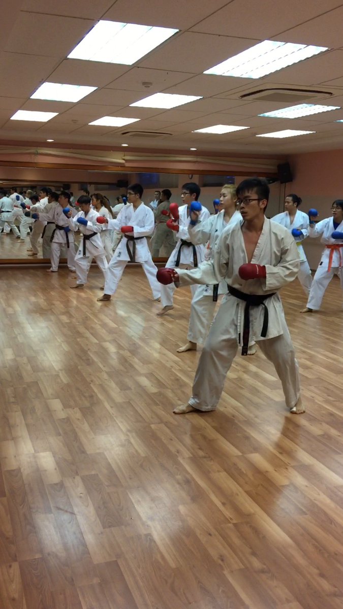 Goju Ryu Karate tweet media