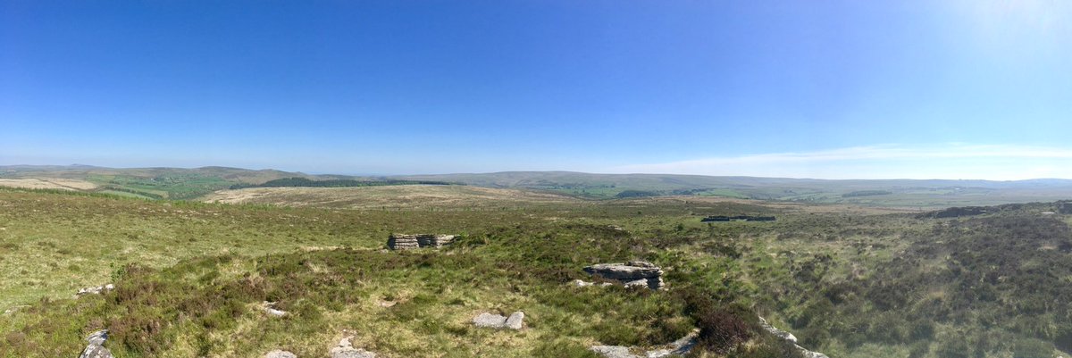 Deltachild's tweet photo. Wish I still lived there! #devonday #laughtertor #dartmoor https://t.co/miwJ4hA91C