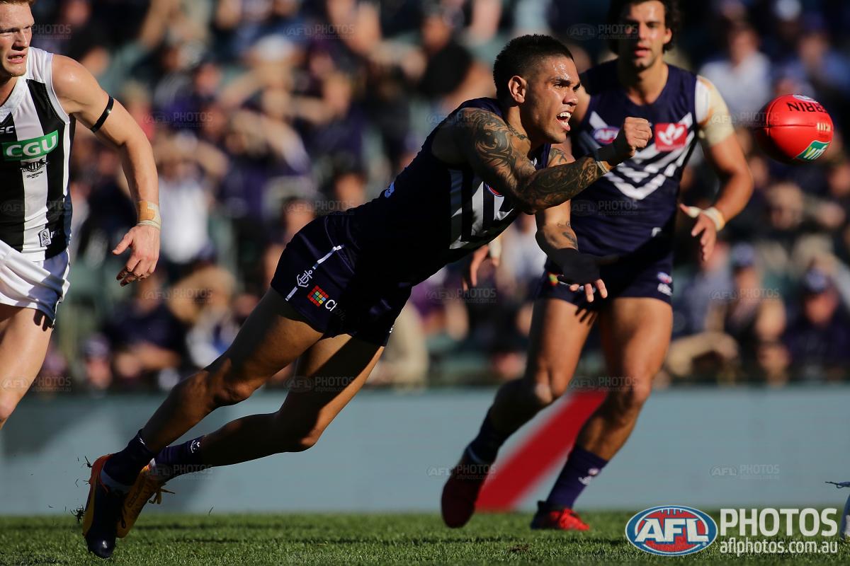 AFL's tweet photo. Son Son in the sun ☀️ Photo: Will Russell #AFLFreoPies https://t.co/qDpA97OOKl