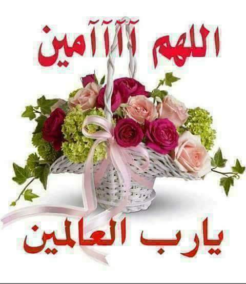 PASUMNOSUNNI's tweet photo. @mawarbe08 @akhtarjamshed15 @jamagedali @happymoments4u @HinaIqbaljaved @rinaelfira @f30ea28c95a84fd @Tafseer15 آمين آمين آمين آمين آمين آمين آمين آمين يارب العالمين https://t.co/lvEjMcneEx