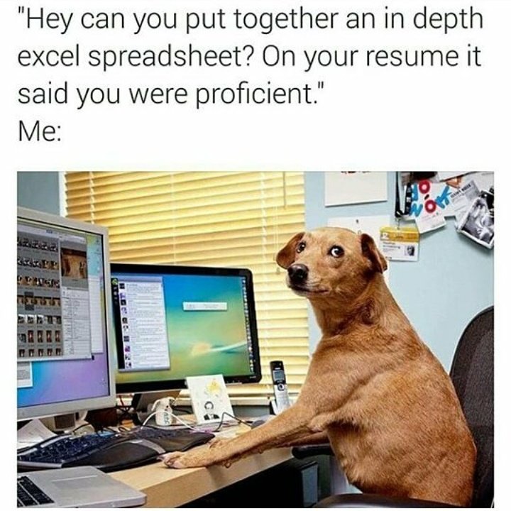 Dog Business Spreadsheet