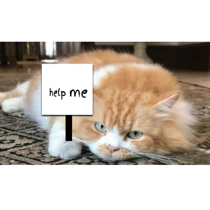 View image on Twitter View image on Twitter