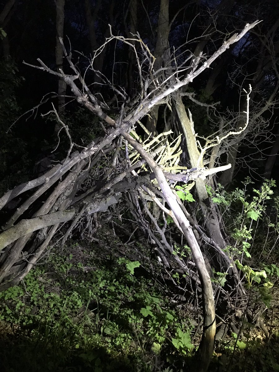 ProjectGoAndSee's tweet image. The gang finally got together in Utah to go Squatchin with Reo! Had a blast! Saw amazing structures. Stay tuned for video! #projectgoandsee