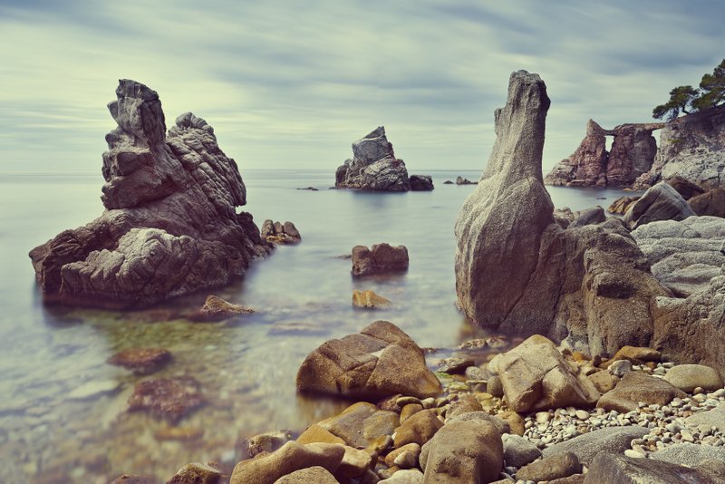 jackiedeburca's tweet image. “I think you #travel to search and you come back home to find yourself there.” ― Chimamanda Ngozi Adichie