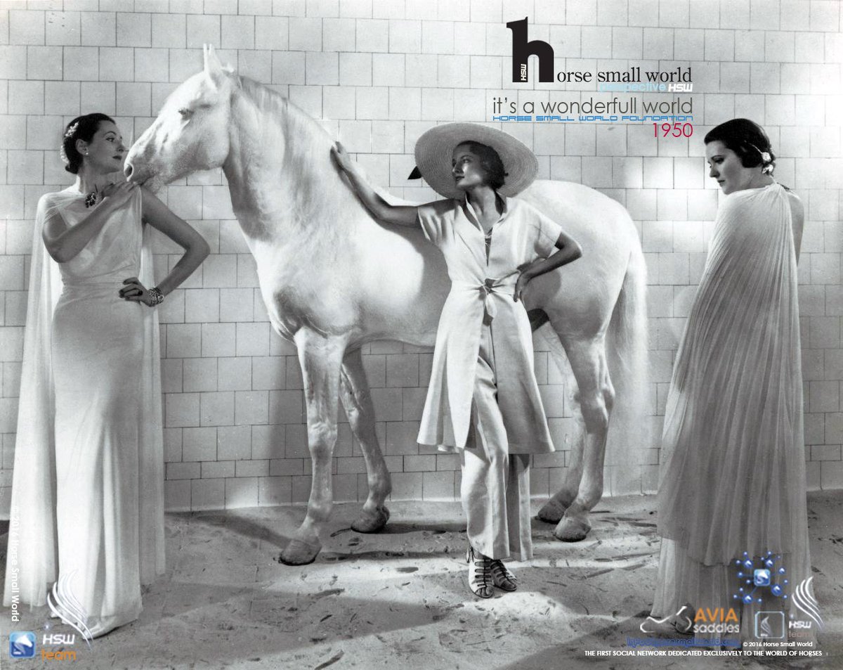 Horsesmallworld's tweet photo. it's a wonderfull world - perspective HSW - HSW Foundation- 2017 - 1950 https://t.co/twnD3Kov9P