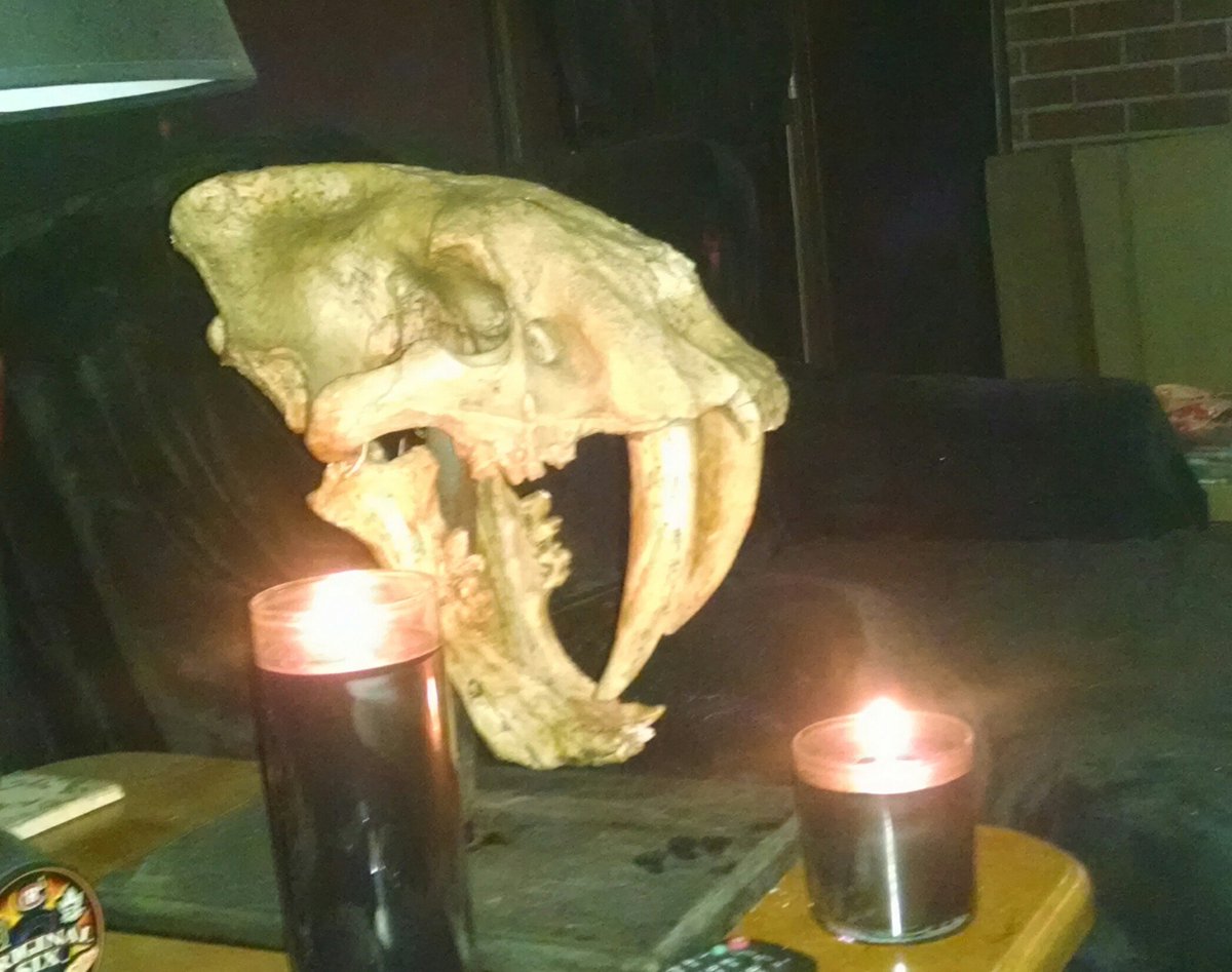 themadgermanic's tweet photo. Keep throwing catfishes you simpletons.... The Cup will be raised here...#notvoodoo (its totally voodoo,hahaha) https://t.co/55MlX3qu5W
