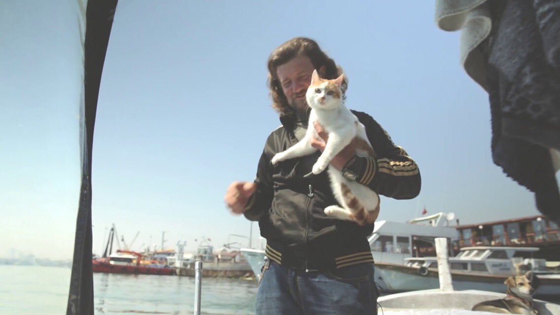 BurtTelecaster's tweet photo. Kedi is so good movie if you like cats https://t.co/9wi1JmC4xD