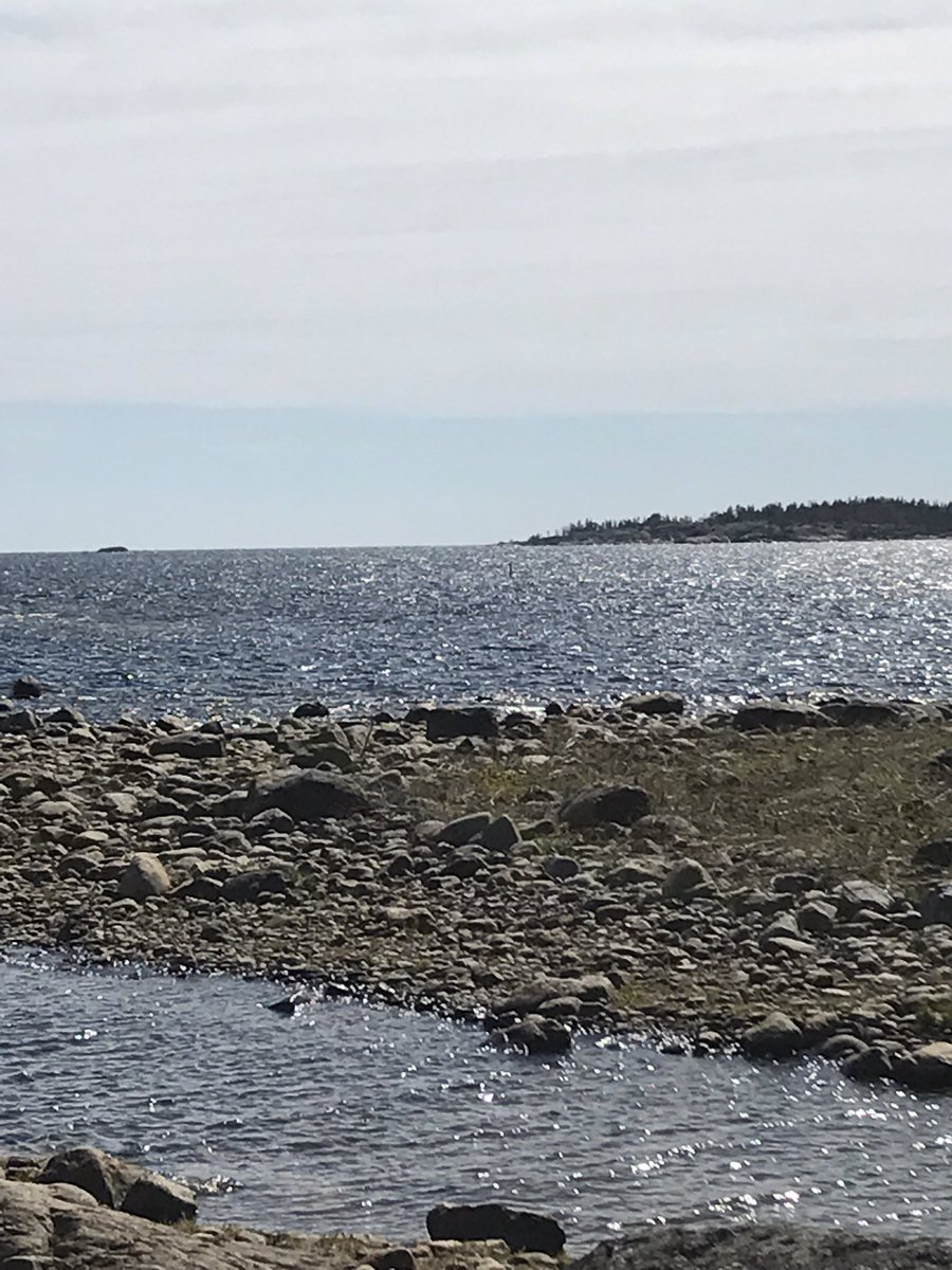 Lovevaru's tweet photo. Vackert men kyligt, men jag hoppas:) snart blir det sommarvarmt! https://t.co/AVs6DapugV