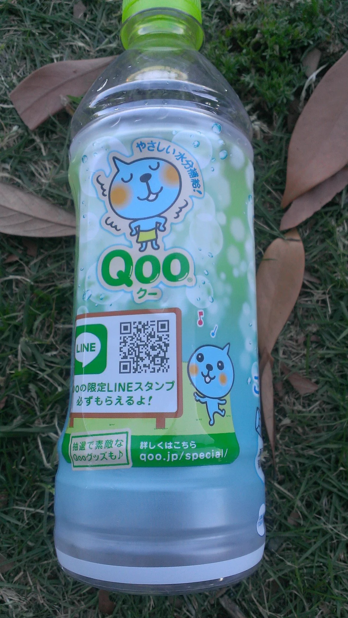 天才の着眼点ｗ室内ではタオルを巻いて外では脱ぐQooのキャラに気付くｗｗｗ