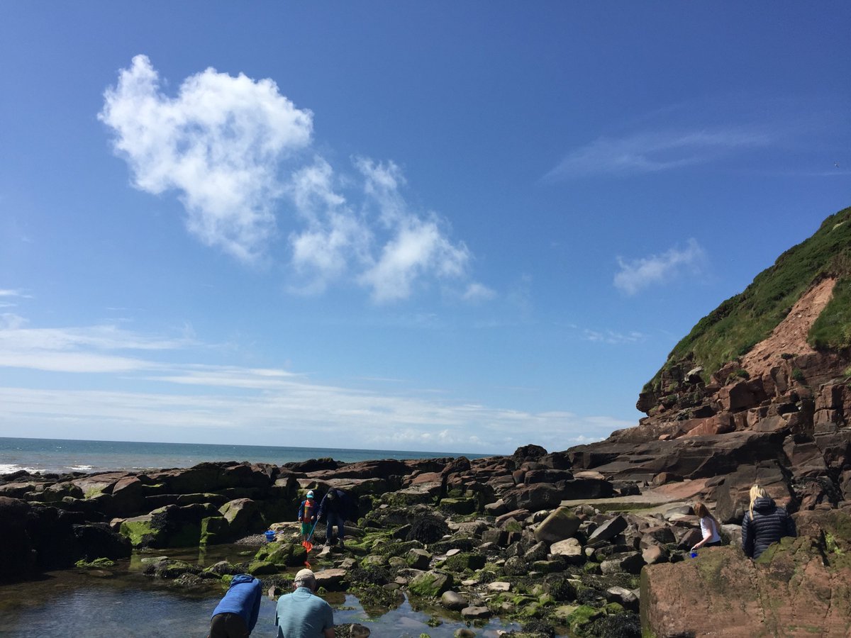 Thanks to all those who joined us for day 3 of #30DaysWild, lots of exciting creatures found in the rockpools at #StBees #RockpoolRamble