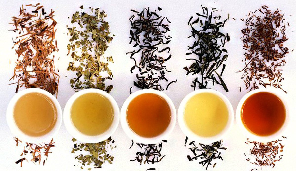 HyleysTeaOnline's tweet image. Learn about the different types of tea. Drink daily &amp;amp; be well! 

allaboutcuisines.com/interesting-ar… #BenefitsofTea #Hyleys #GreenTea #BlackTea