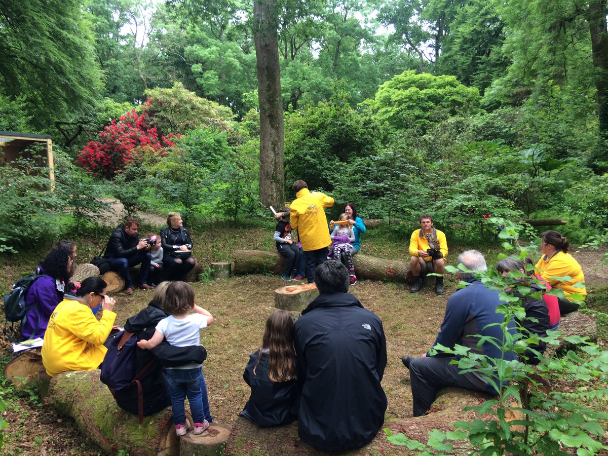 secretowlgarden's tweet photo. Come down today and join one of our interactive sessions #findtheowls #Pembrokeshire #owlcentre #newattraction https://t.co/qqdlxzNAI7