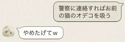 この夫婦仲良さそうだな～ｗｗｗくそ楽しそうｗｗｗ