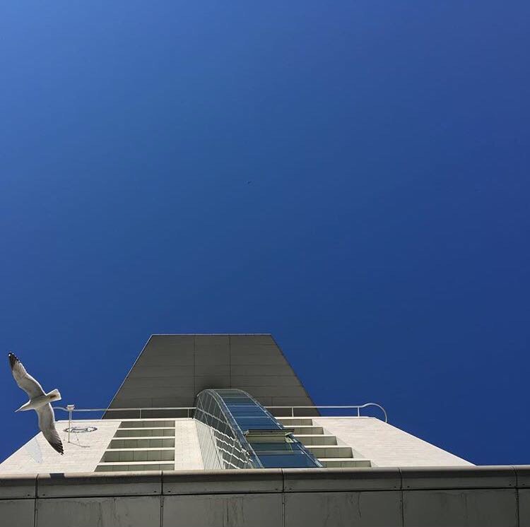 Go Beyond <a href="/sheratonporto/">Sheraton Porto Hotel</a> #actionsspeaklouder #sheratonporto