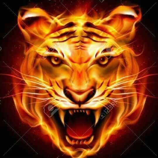 Rovinraj4's tweet image. 