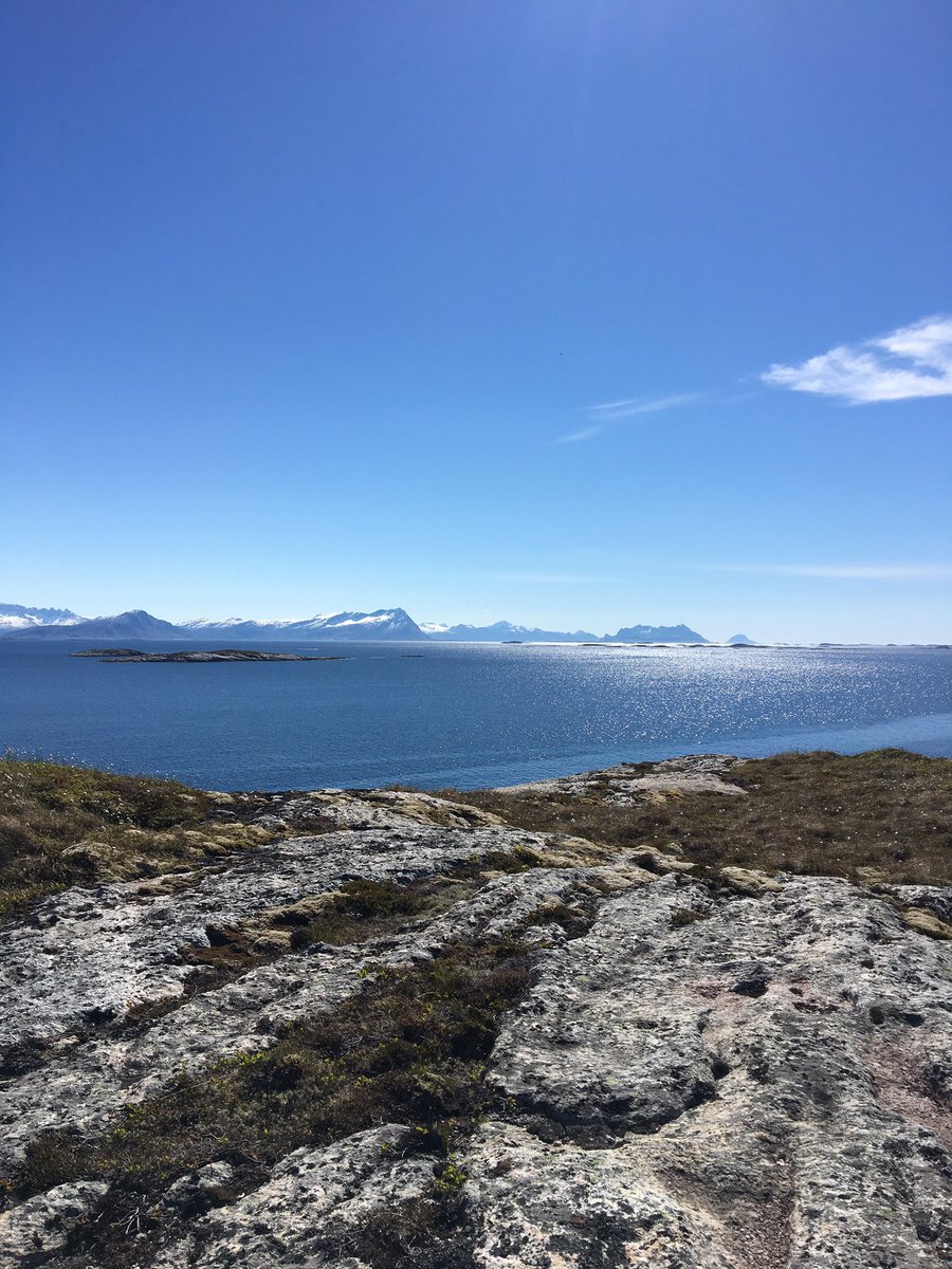 Linda_79's tweet photo. Vakkert i nord❤️ #landegode #visitbodø #bodø https://t.co/xxJmLk76cS
