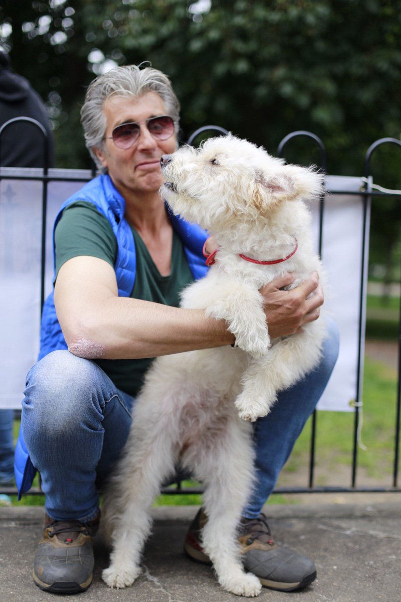 E5DogPhotograph's tweet photo. It's now #FinsburyPark @AllDogsMatter for the #DogFactor show https://t.co/OQ0LWArwkZ