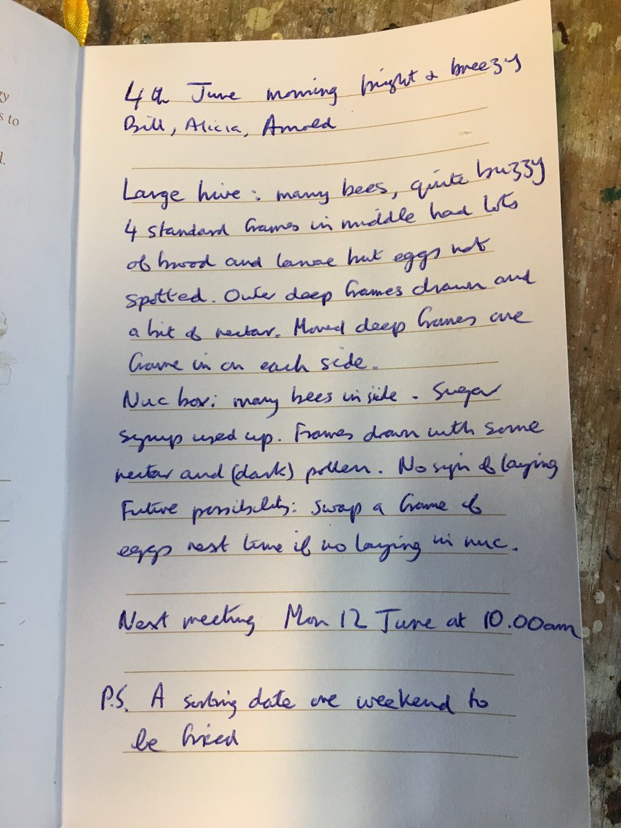 bee7forestgate's tweet image. 