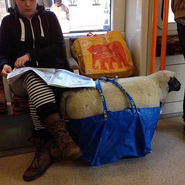 GenericZA's tweet photo. #ThingsThatLeaveBritainReeling finding one passenger occupying more than one seat on the tube. https://t.co/iZpnTkArSE
