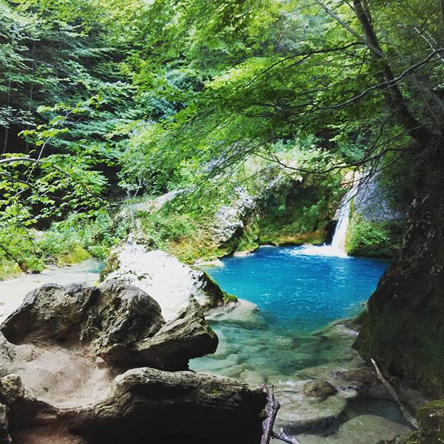 VisitNavarra's tweet photo. No te olvides que necesitas reserva previa si quieres visitarlo https://t.co/efrScE1PWN #Urederra, #Navarra (By @zaldylkh2015 / Instagram) https://t.co/ht5a2yQu5v