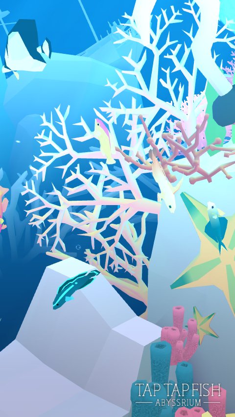 My Diadem Dottyback:) 
#taptapfish
Download: onelink.to/jhe4sh