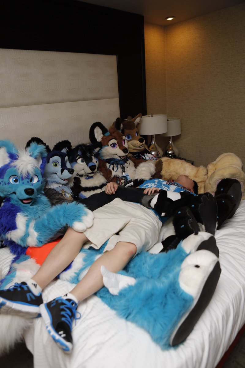 RykerHusky's tweet photo. Thank you all for attending #ProCon2017 @Sunny_Dingo @ConstuproHusky @t0rafusky @RivaloWolf @ThatKrazyK9 @SketchCoyote @DoktorTheHusky https://t.co/cS2yEAjwt9