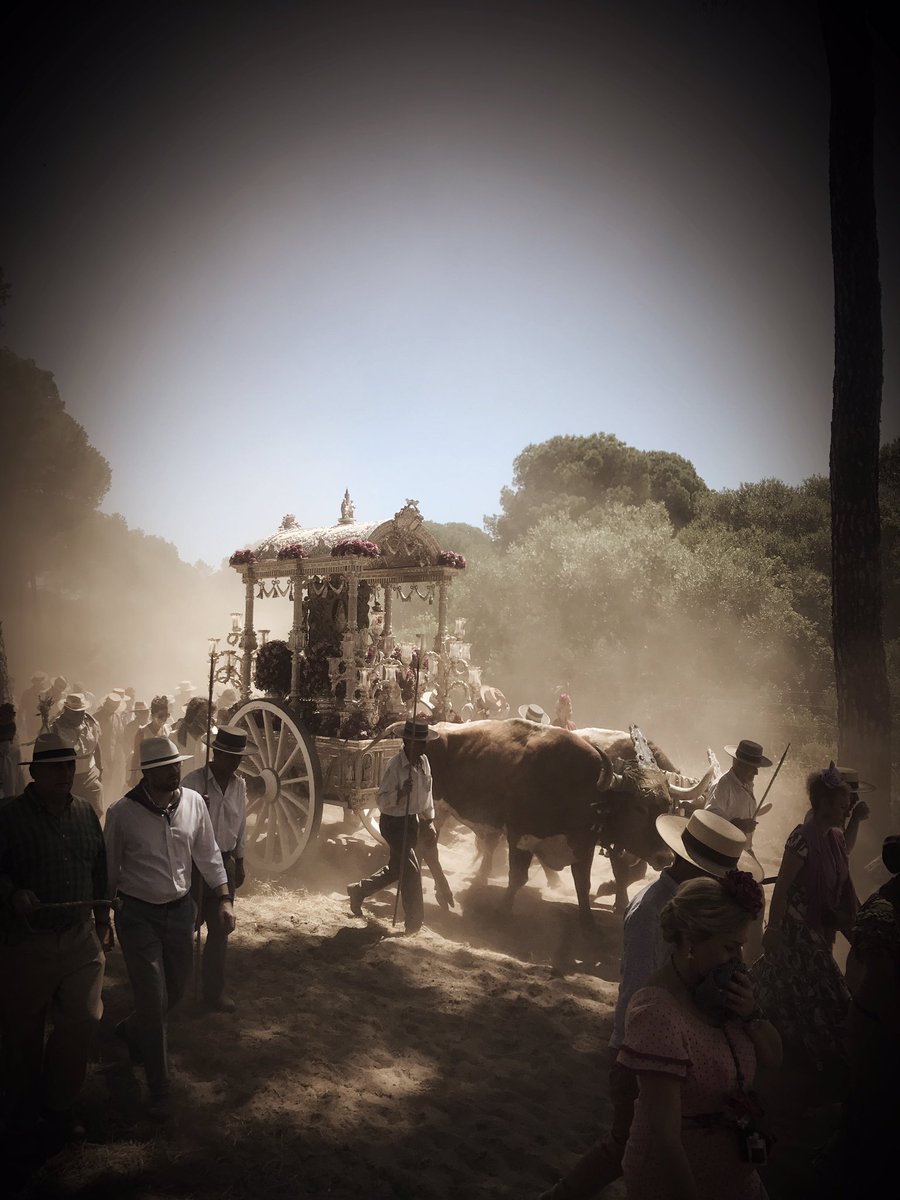 ElenaSalamancaR's tweet photo. Momentos Camino #Rocio2017 #calor #muchopolvo #Bautizos #ElQuema #amigos #Hermandad #Plegaria #cantaranteElla #VivaLaMadreDeDios ¡GRACIAS! https://t.co/7wv1EUUiug