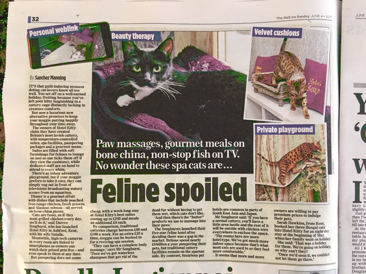 hotelkitty_'s tweet photo. We are in the Mail on Sunday today 😊😊😊 https://t.co/G62HzBsLO9