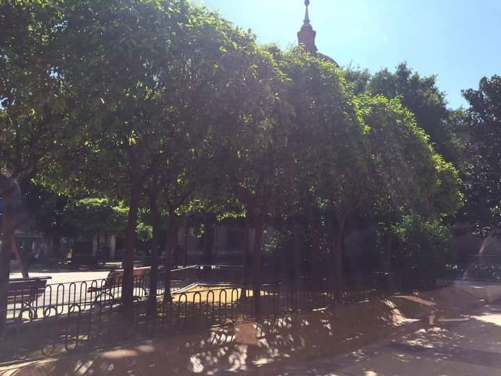 ElAmarreMurcia's tweet photo. Ven a celebrar con nosotros este maravilloso domingo.
#Amárrate
#Arrocico
#Murcia https://t.co/QfbOrO2Tbs
