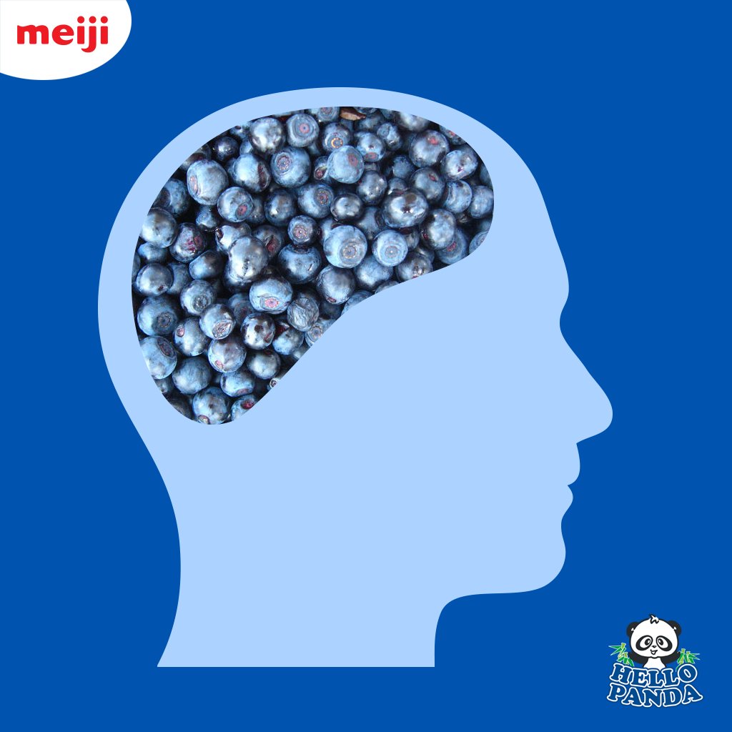 mehellopanda's tweet photo. Believe it or not blueberries can help improve your memory! Tag a friend who forgets a lot :)
#HelloPanda #Meiji #HelloPandaME https://t.co/ocR4i5c0wu