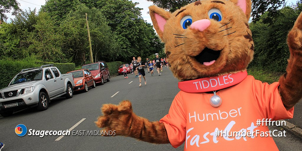 StagecoachEMid's tweet photo. Tiddles will be participating in the #HumberFastCat Fun Run on 25 June. Catch the Cat and win prizes! #fffrun➜ https://t.co/MUqahtGia0 https://t.co/2fBGVcSr2J