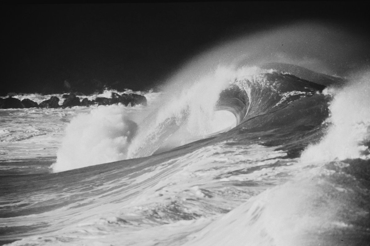 KuaAinaUK's tweet photo. Big wave at North Shore c. 1920s. We also sell them. #BigWaveBeer #ADayInTheHistoryOfHawaii https://t.co/rRvGgroNgF