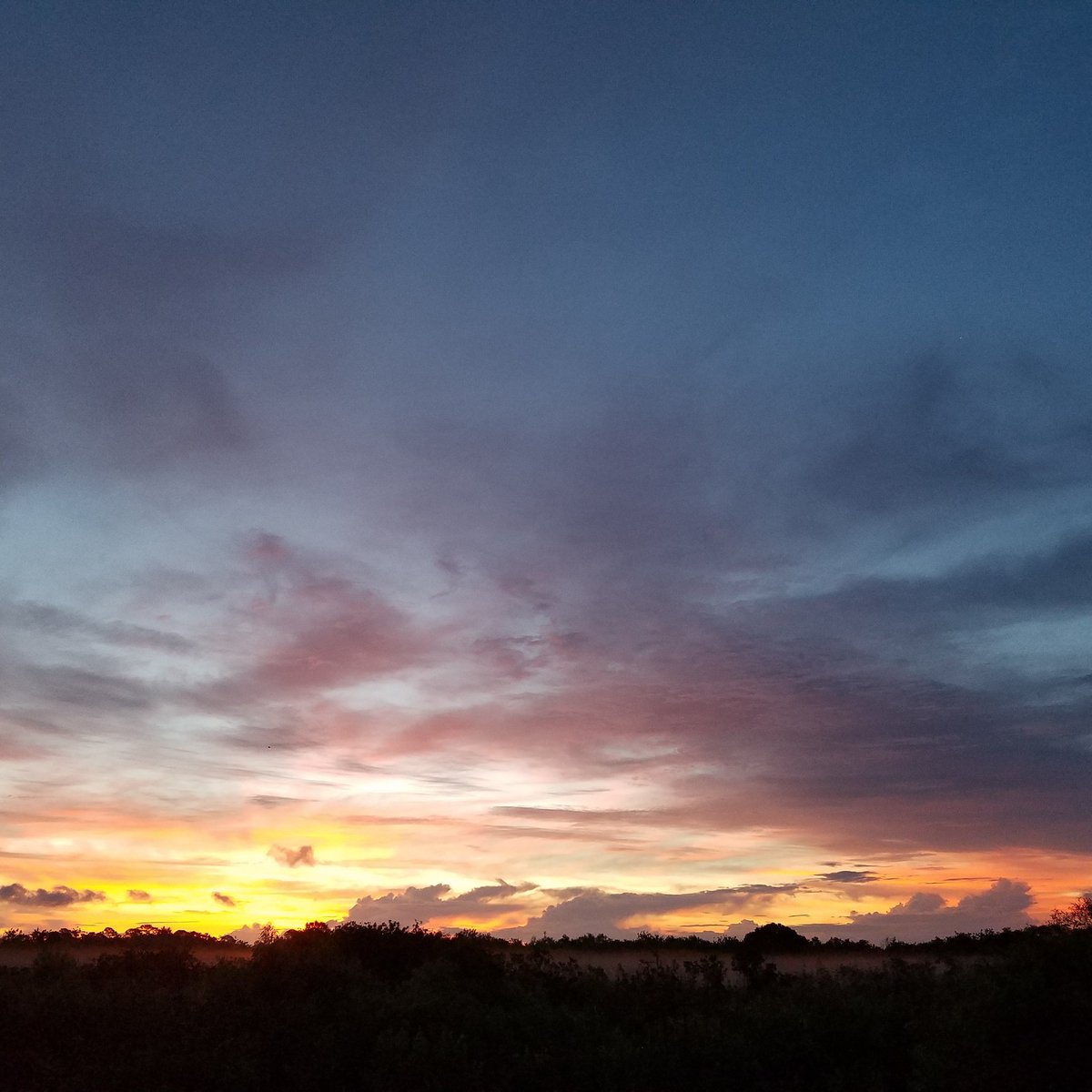 GodsTreeHouse's tweet photo. Glorious morning #GodsTreeHouse https://t.co/CwilD1dYeS