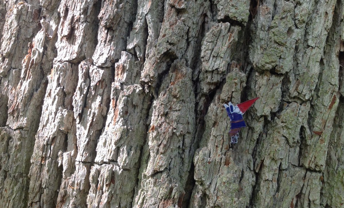 Attention2place's tweet photo. Day 4 notice texture
#30DaysWild #geognome #macrospace-microplace https://t.co/vNiRWjoofq