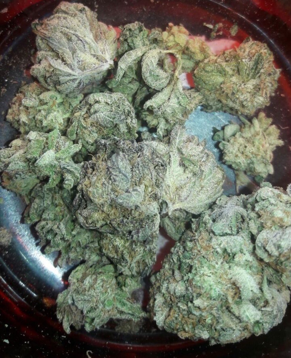 KushConnections's tweet photo. Grand Daddy Purp 180 oz https://t.co/jKUVAgUhJU