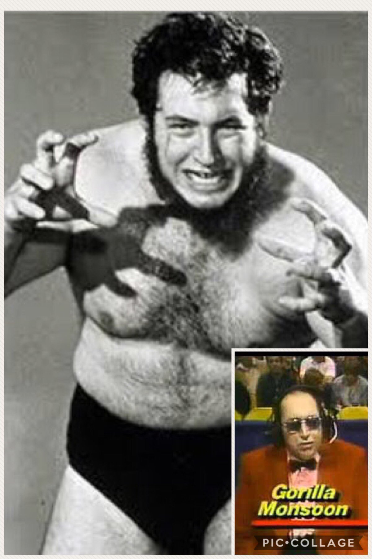 Happy birthday to Gorilla Monsoon. The only man good enough to call his own action.   