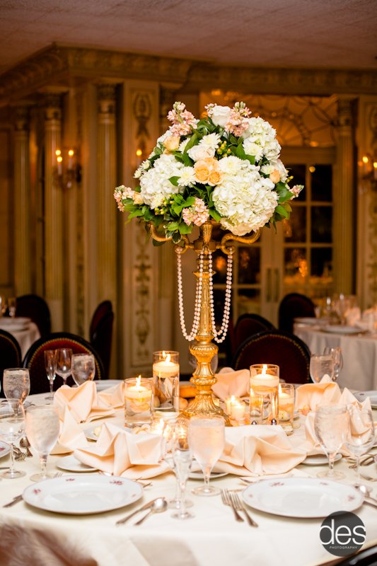 Reception party layout at the park. Food, drinks, tables and good times. 

Table's that are set up.
Location: In the park on a beautiful day
