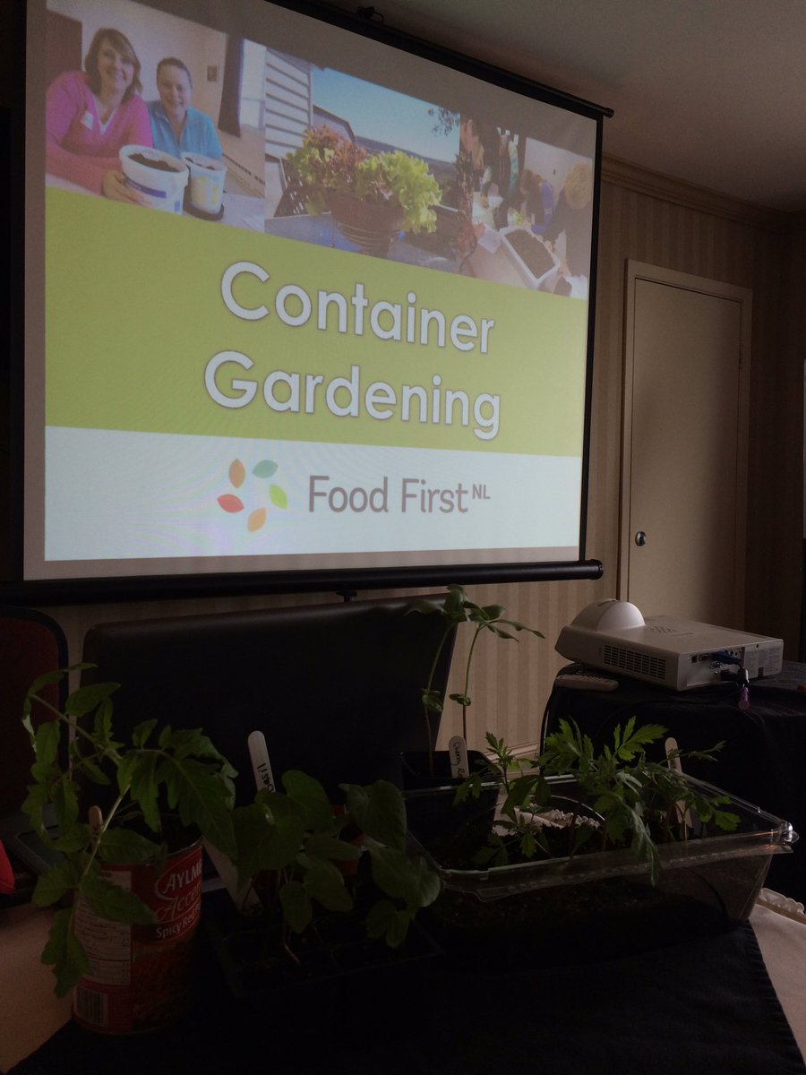 foodfirstNL's tweet photo. Excited for round 2 of container gardening @yacancercanada #fogcancer conference! https://t.co/htSaAPMTWh