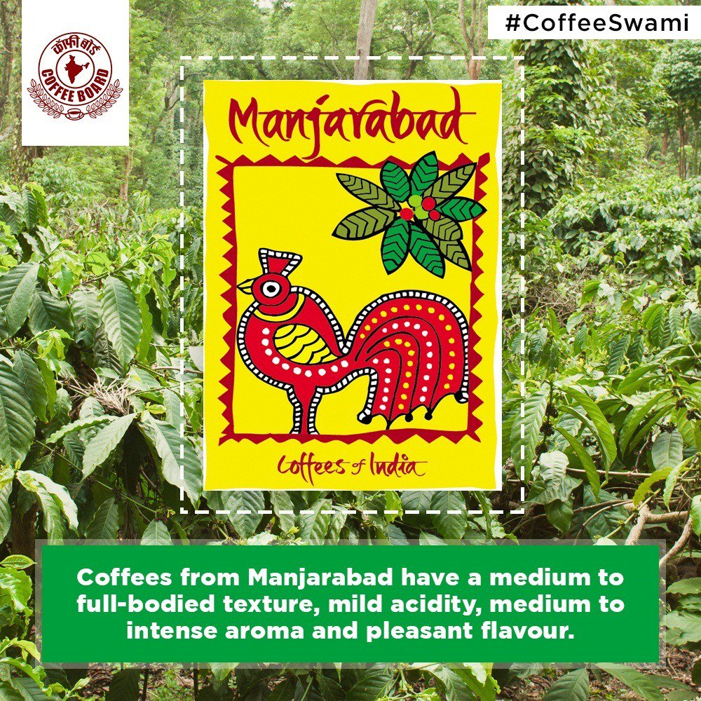 CoffeeboardI's tweet photo. Planters in the Manjarabad region are known for employing innovative technologies for growing their coffee. #CoffeeSwami https://t.co/WKIZXAClm8