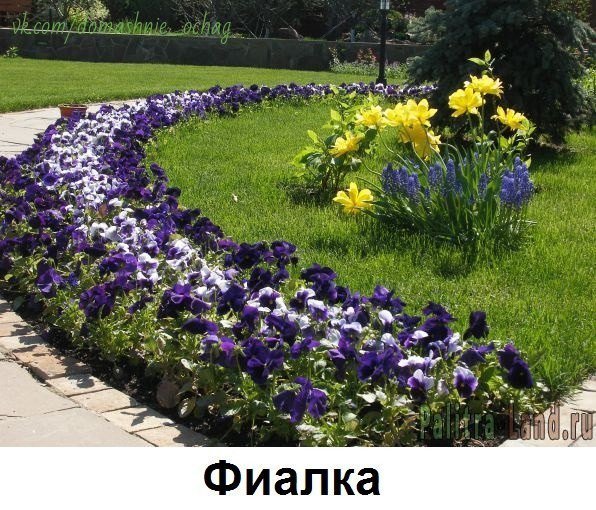 OlyShkara's tweet photo. Цветы вдоль дорожки. Интересные идеи для дачи)))
#цветы #дорожка #дача #интересныеидеи https://t.co/Q62IuxCI1g